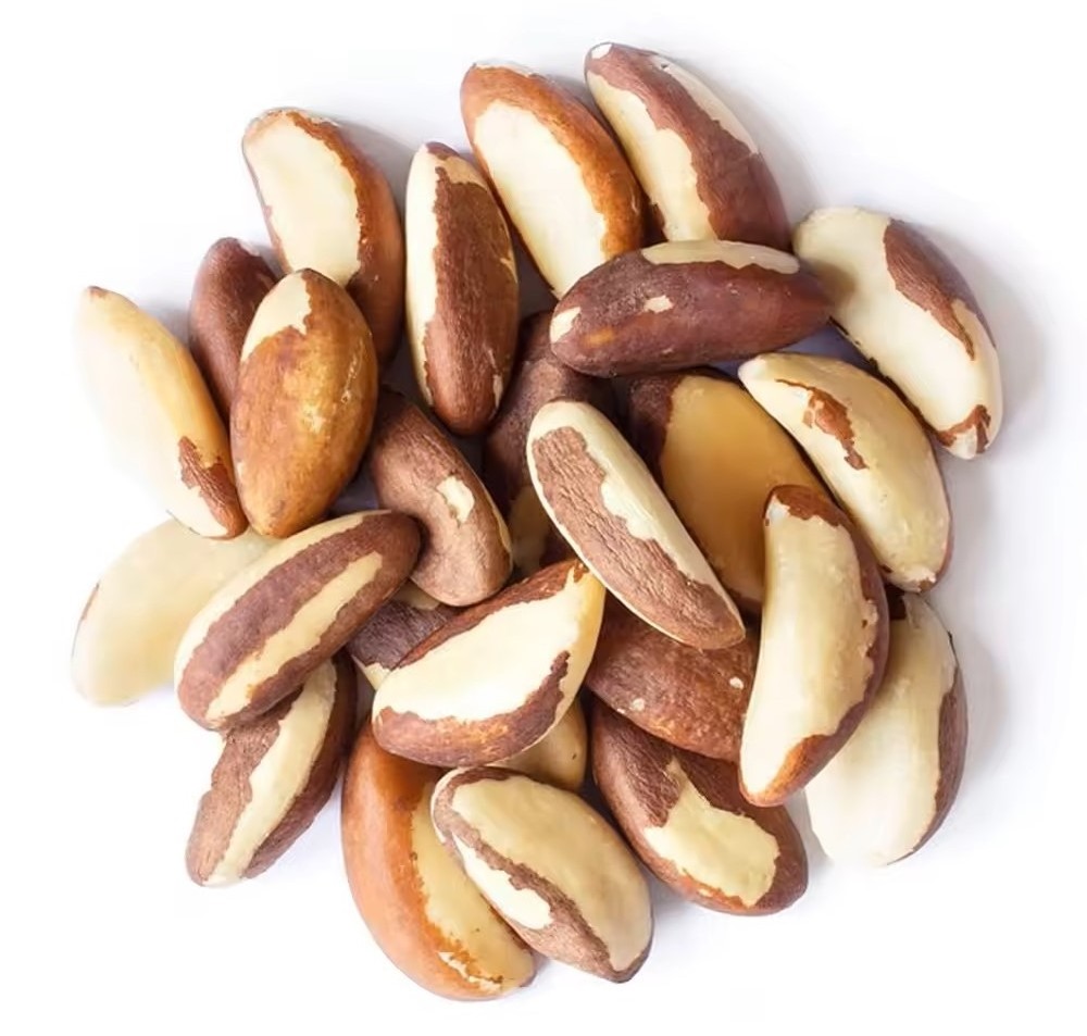 Quality Brazil Nuts Wholesale Brazil nuts snacks brazil  nuts 100% Pure Natural