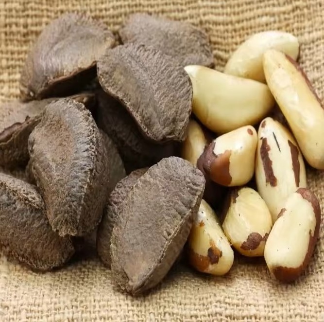 Healthy 100% Pure Natural Peru High Quality Brazil Nuts Wholesale brazil nuts snacks brazil nuts snacks