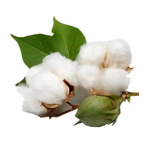 wholesale price sheet Raw cotton linter pulp bulk product of Uzbekistan Raw cotton Linter pulp cellulose Raw cotton linter pulp