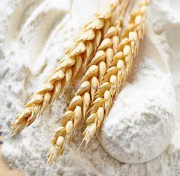 Russian Flour Ecological Products from Bean and Seed Turkey Flour  Manufacturers 50kg Wheat Flour