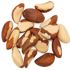 Quality Brazil Nuts Wholesale Brazil nuts snacks brazil  nuts 100% Pure Natural