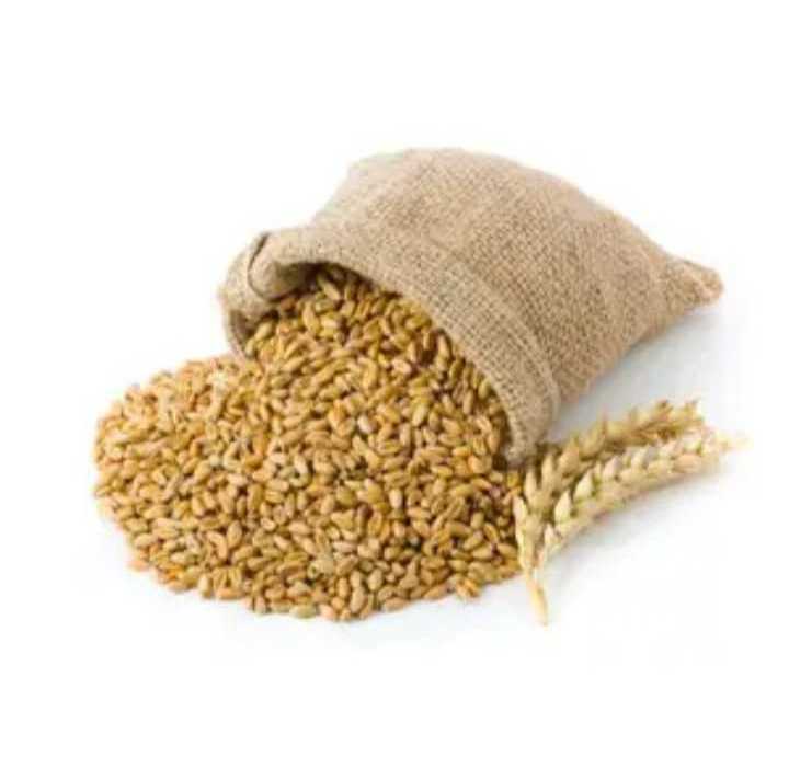 dry wheat bran for animal feed wholesale wheat bran Animal Feed cheap Animal Feed Barley