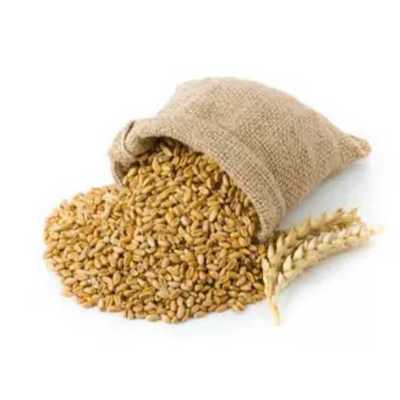 dry wheat bran for animal feed wholesale wheat bran Animal Feed cheap Animal Feed Barley