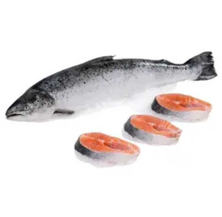 Salmon Caviar Fish Bulk Roe From Freshly Caught Autumn Salmon