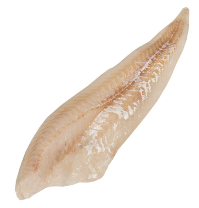 Frozen Cod Fish For Sale / Dried StockFish / Frozen Stock Fish from Norway