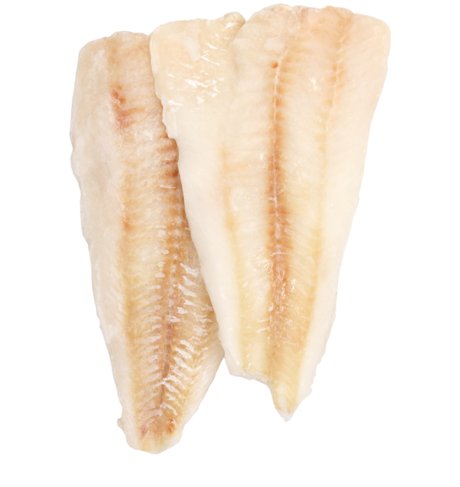 Buy Frozen Cod Fish of Cod in 45Kg bales Dryfish Stockfish (Dried Cod)