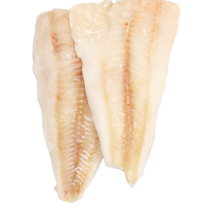 Buy Frozen Cod Fish of Cod in 45Kg bales Dryfish Stockfish (Dried Cod)