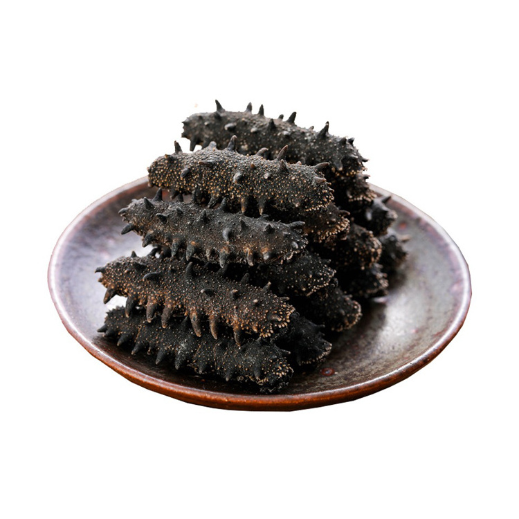 High Grade Wholesale Sea Cucumber Dried Sea Cucumber Cheap price