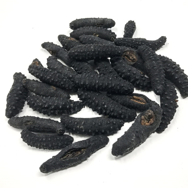 High Grade Wholesale Sea Cucumber Dried Sea Cucumber Cheap price