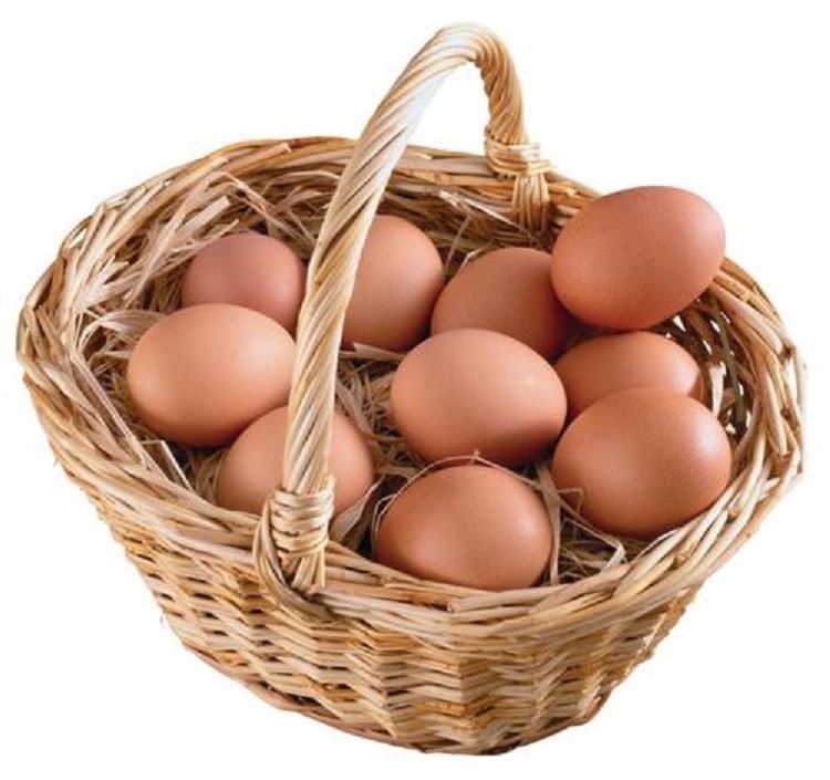 Top Quality fertilized Fresh Brown Table Chicken Eggs Cheap Fresh Chicken Table Eggs Fresh Chicken in Bulk