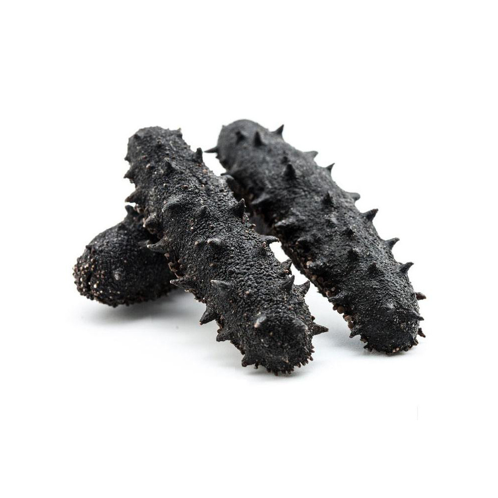 High Grade Wholesale Sea Cucumber Dried Sea Cucumber Cheap price