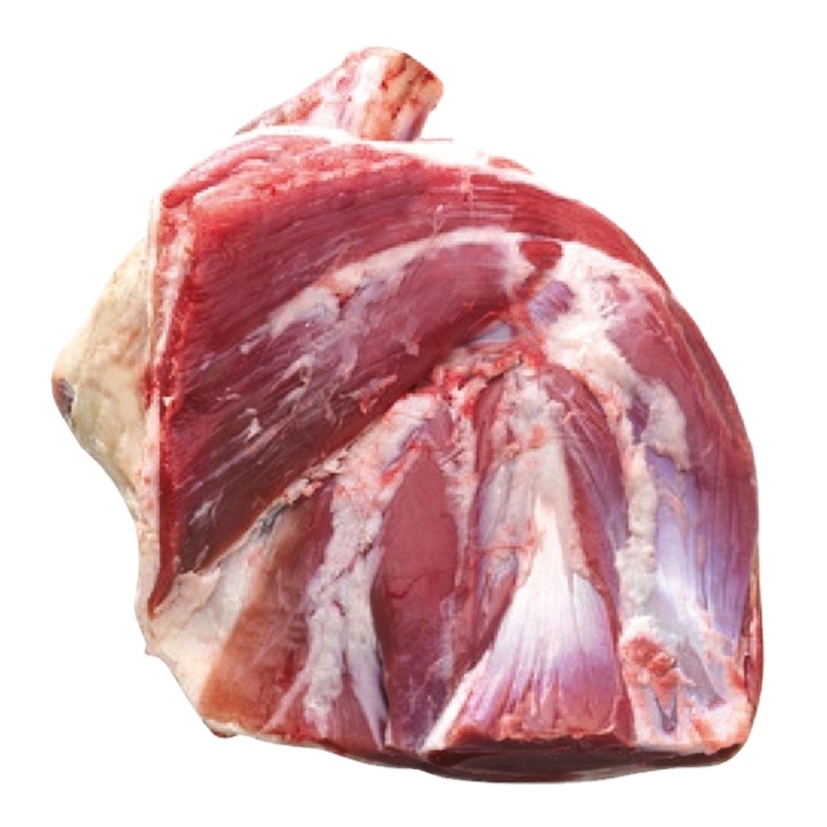 High Quality Frozen Beef Meat From Abundant Natural Environment