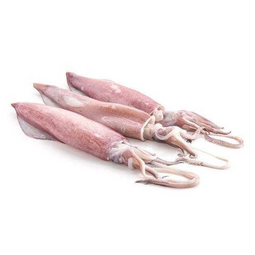 Hot Sale Seafood Frozen Squid / Frozen Illex Squid Whole Round for Sale