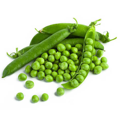 Best Fresh Green Peas For Sales