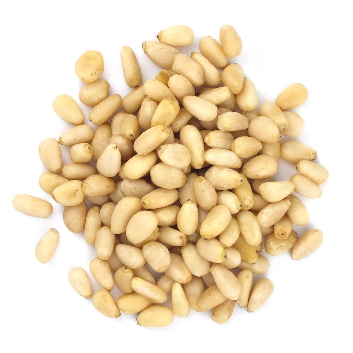 High Quality Organic cheap bulk open pine nut/pine seed/pine nuts in shell