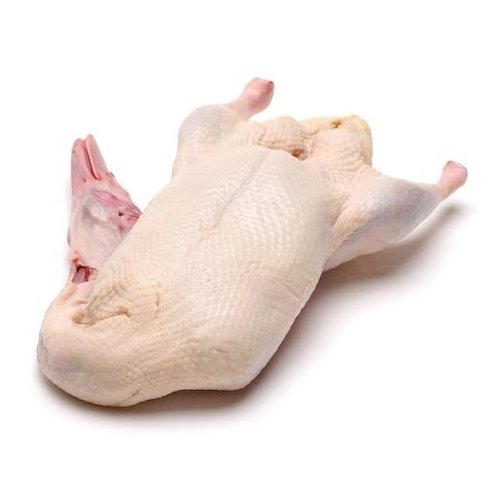 Wholesale Frozen Duck Meat & Duck Parts