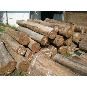 Wholesale Pine, beech Hardwood timber wood Ash logs, oak wood logs for supply