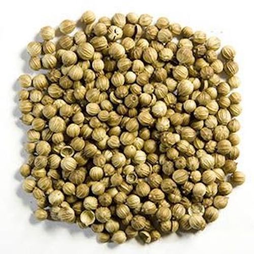 Premium Quality Spices & Herbs Natural Coriander Seeds