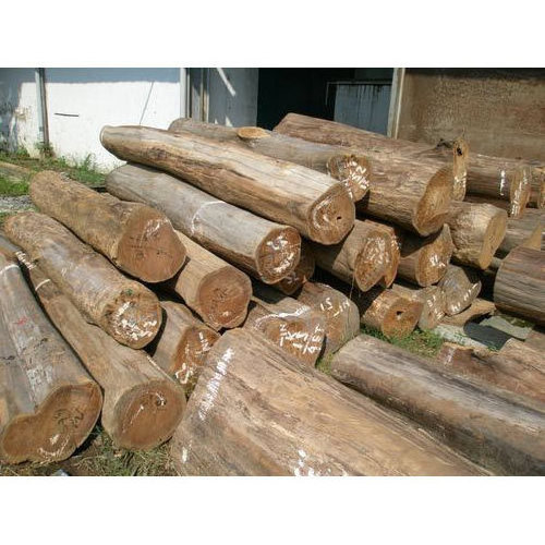 Best Grade Natural Eucalyptus Wood Logs eucalyptus wood logs For Sale