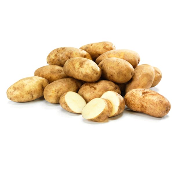 High Quality Organic Fresh Potatoes  For Sales