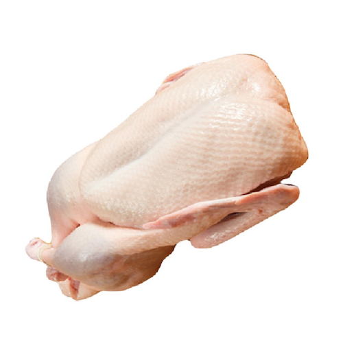 Wholesale Frozen Duck Meat & Duck Parts