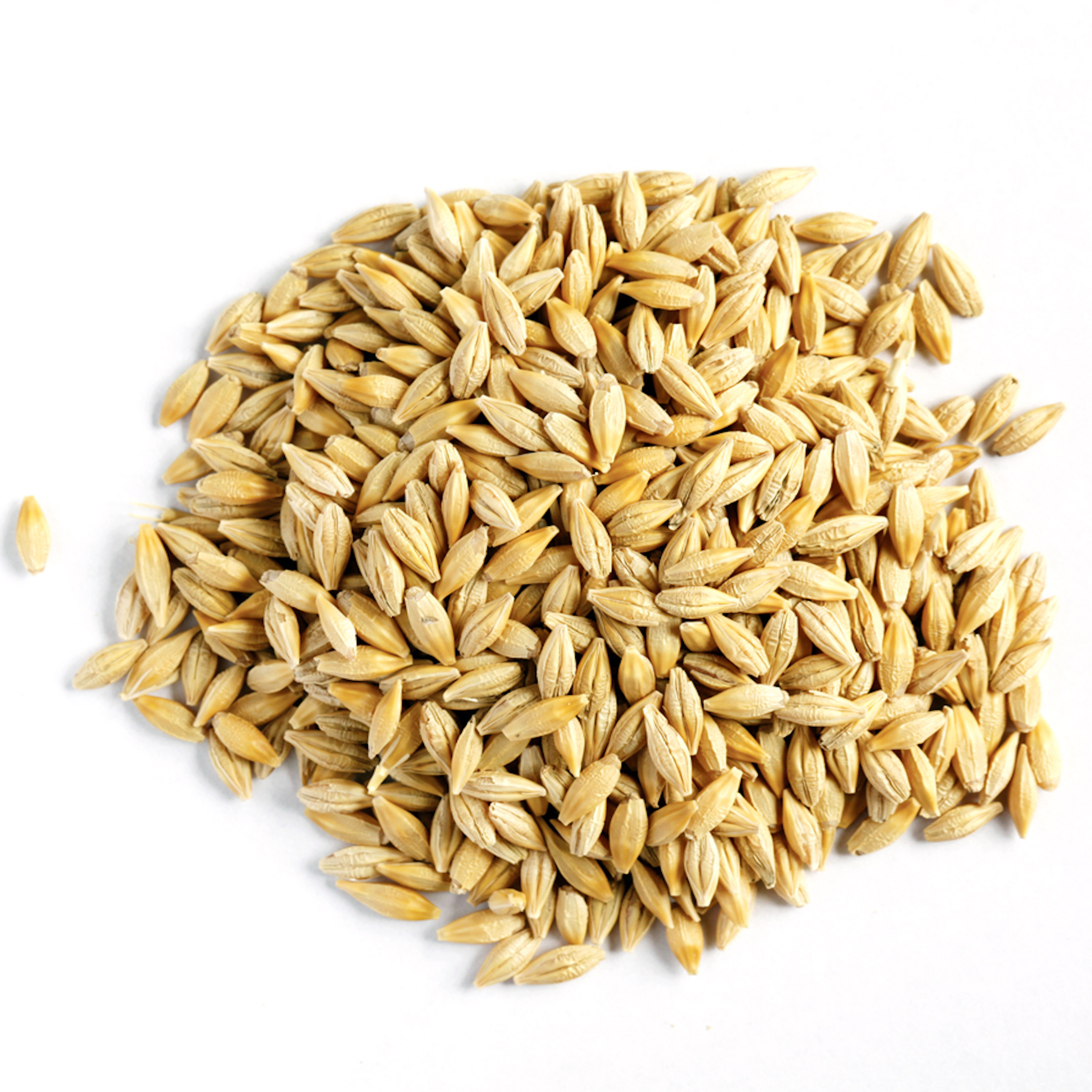 Buy Organic Barley Grain / Barley Malt Grain / Hulled Barley Grain For Wholesale