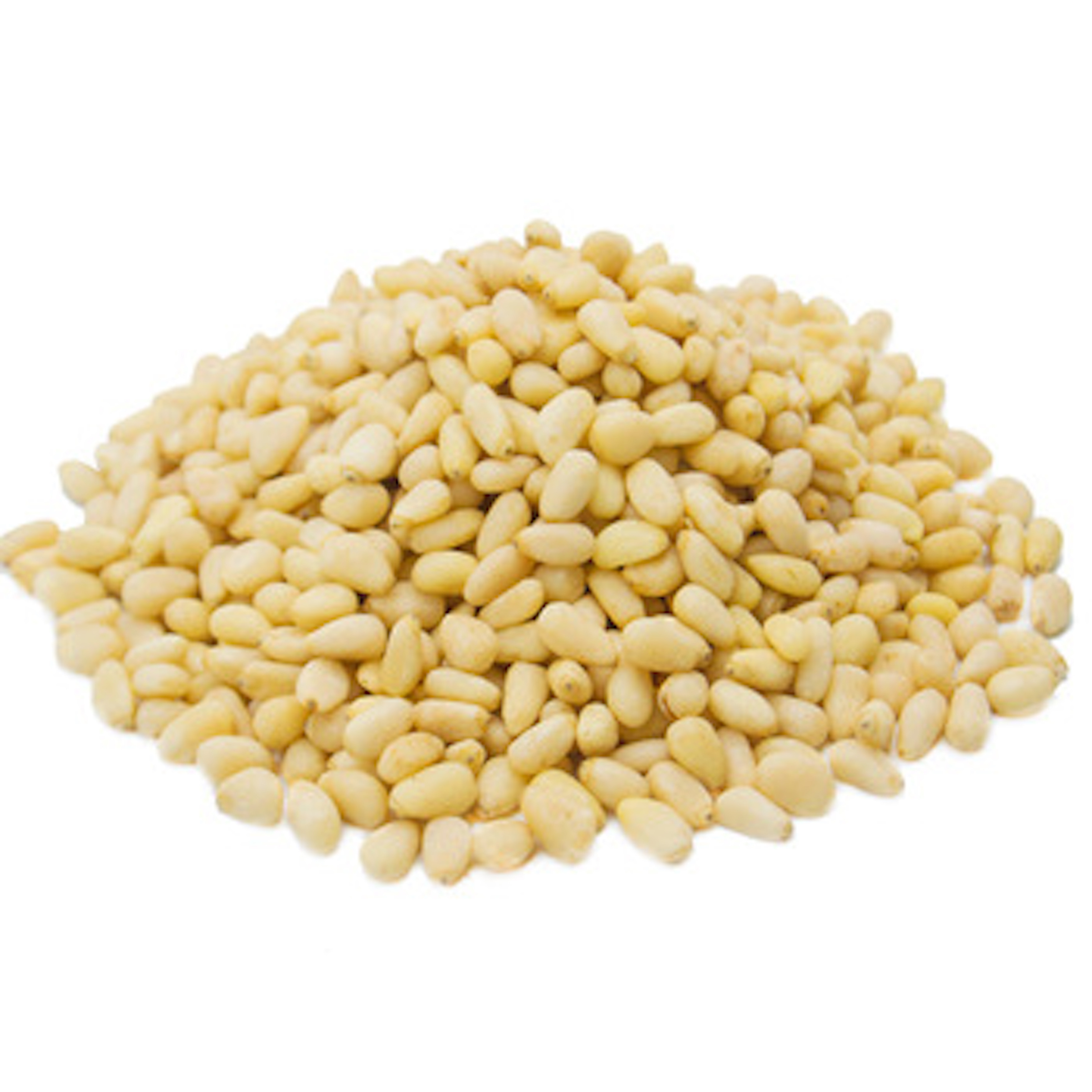 High Quality Organic cheap bulk open pine nut/pine seed/pine nuts in shell