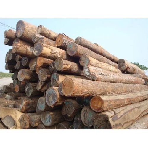 Best Grade Pine Wood Logs And Timber wood Logs For sale