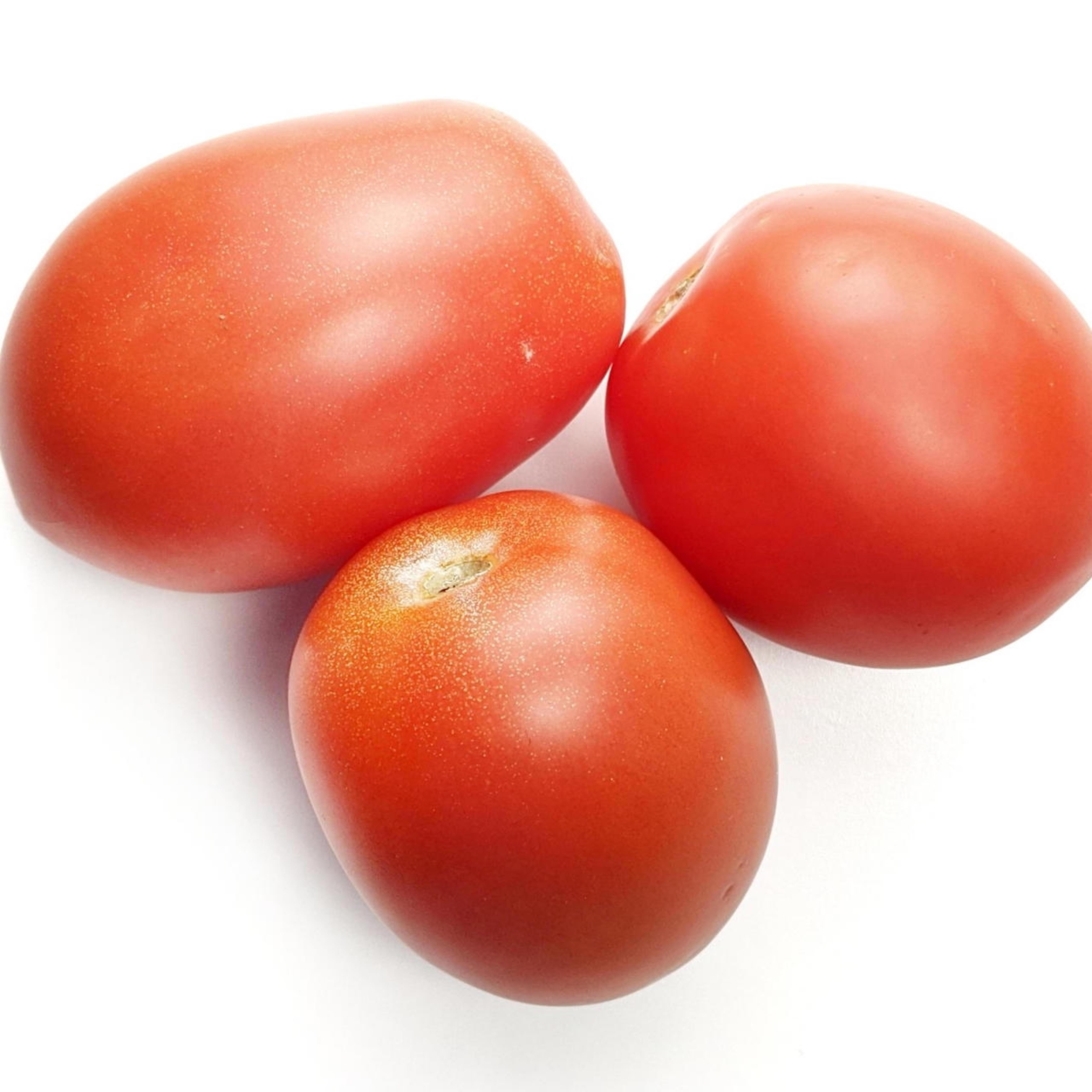 FOR SALES FRESH RED TOMATOES BEST PRICE