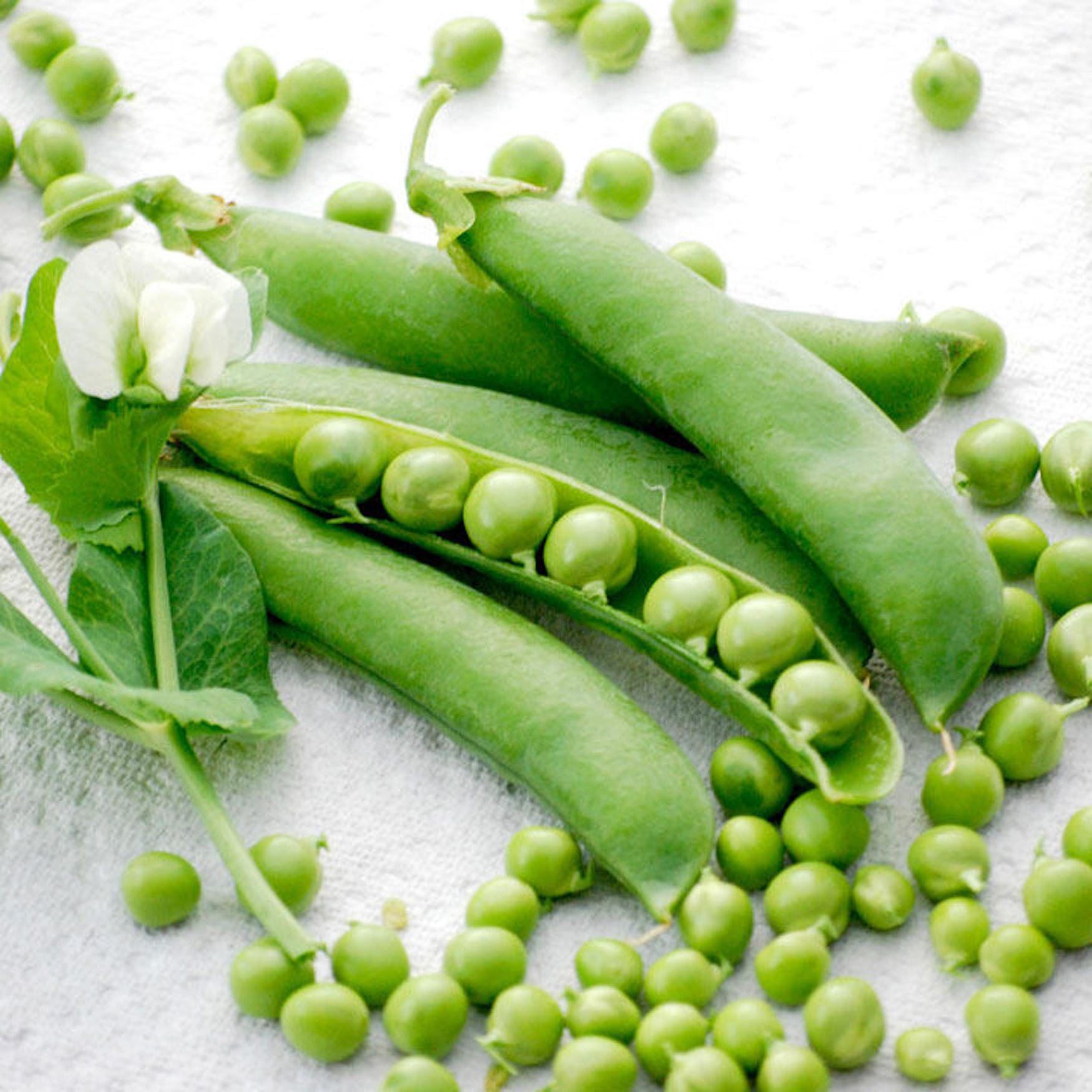 Wholesales Natural Fresh Green Peas For Sales