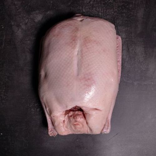 Wholesale Frozen Duck Meat & Duck Parts