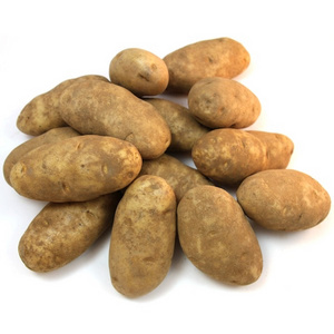 High Quality Organic Fresh Potatoes  For Sales