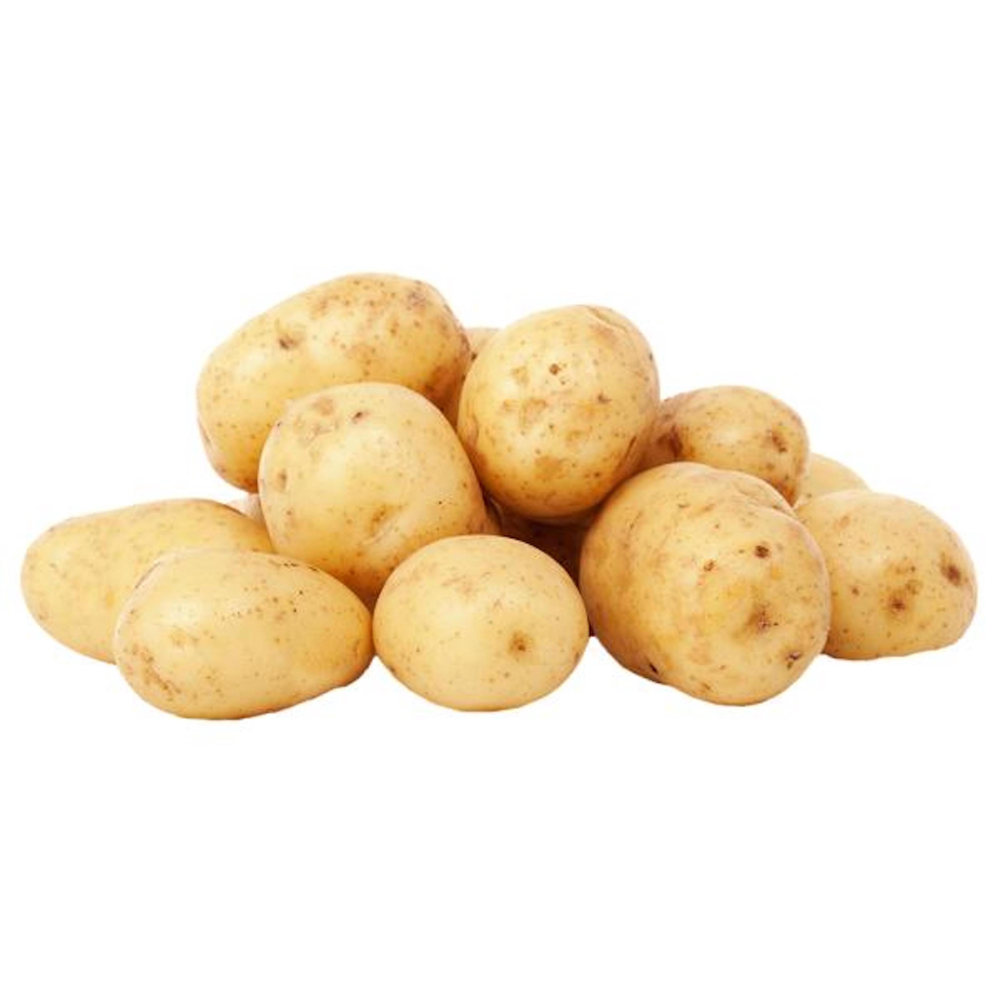 High Quality Organic Fresh Potatoes  For Sales