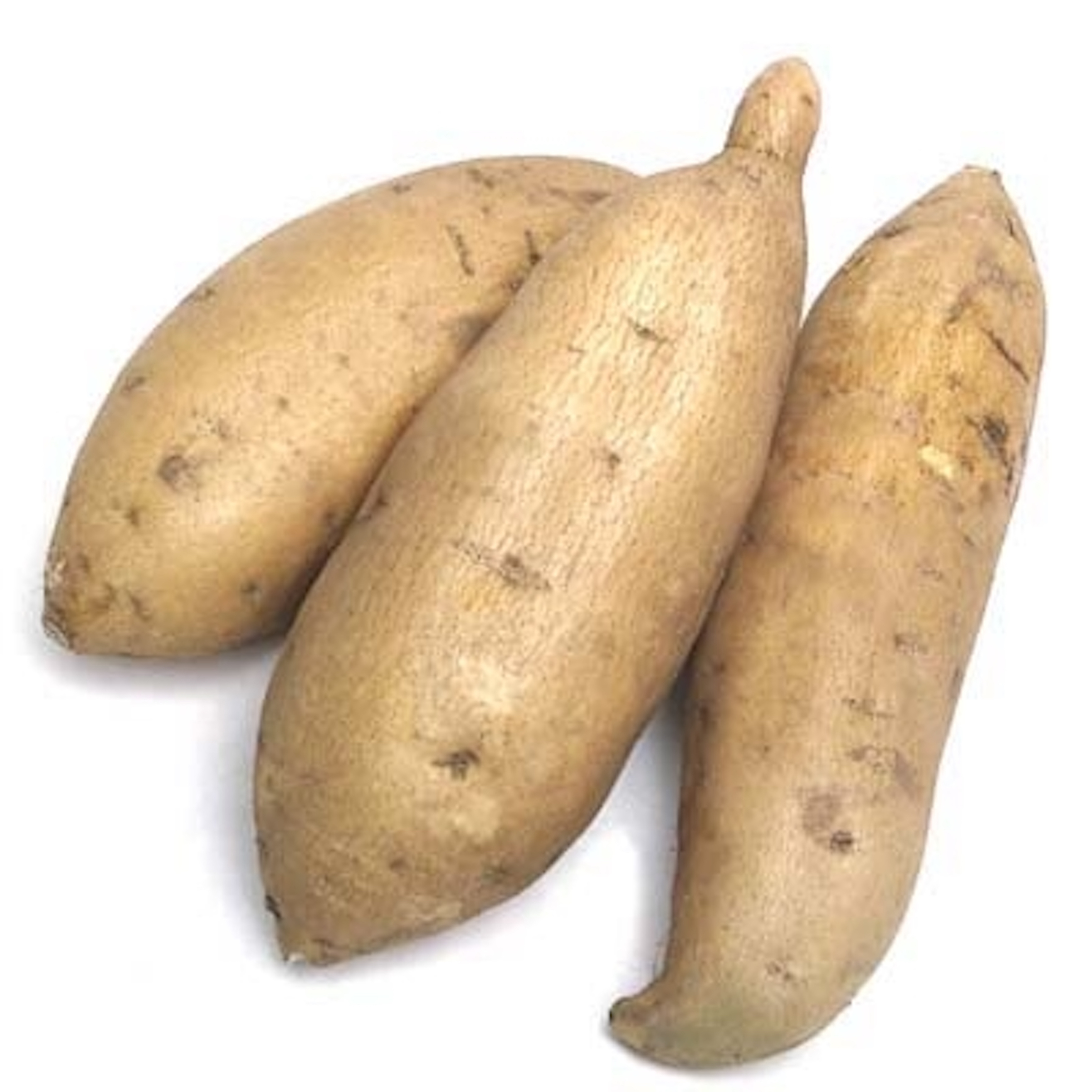 High Quality Organic Fresh Potatoes  For Sales