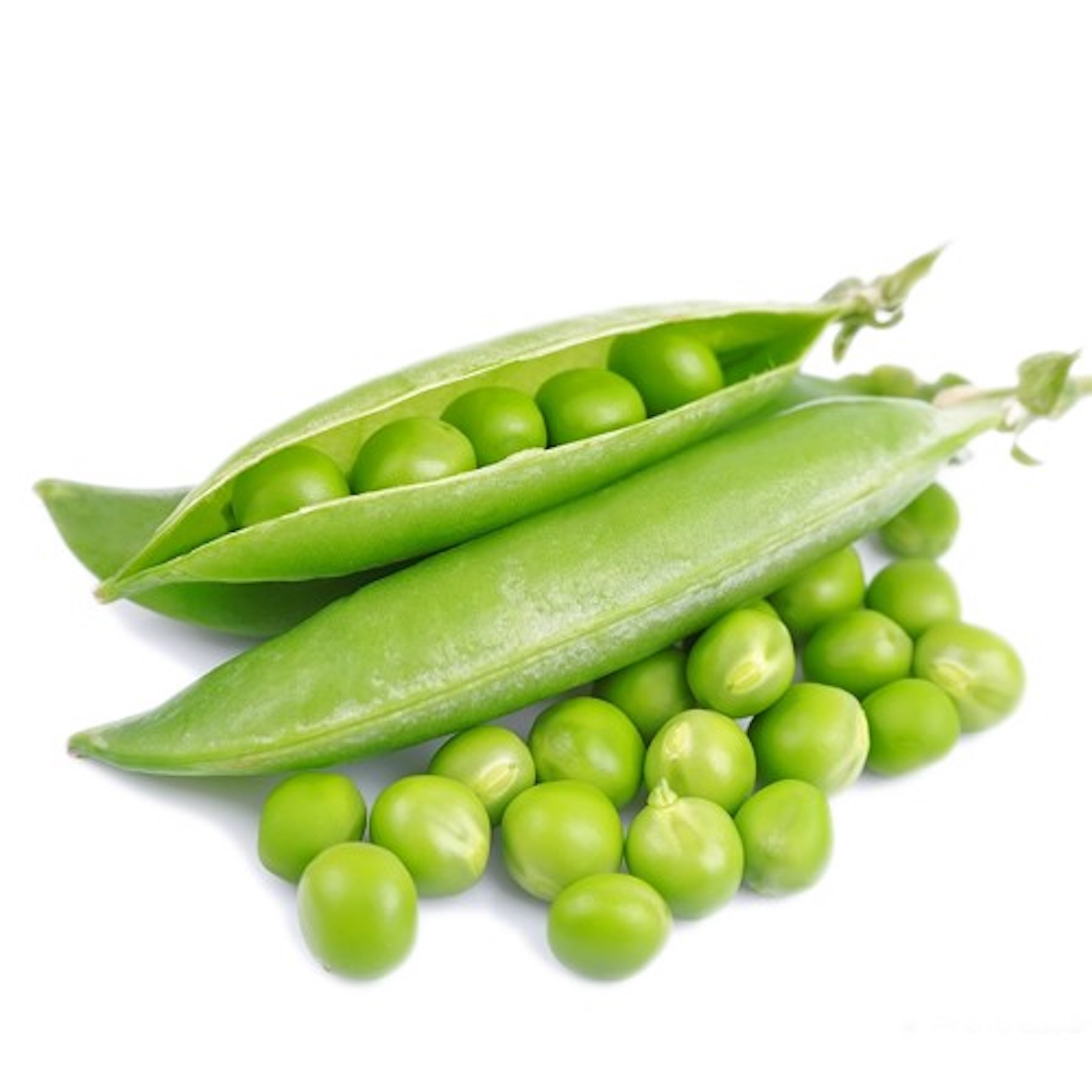 Wholesales Natural Fresh Green Peas For Sales