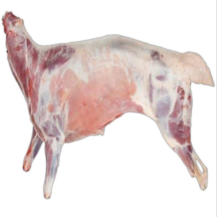 Wholesale High Quality Frozen Halal Goat Meat For Export