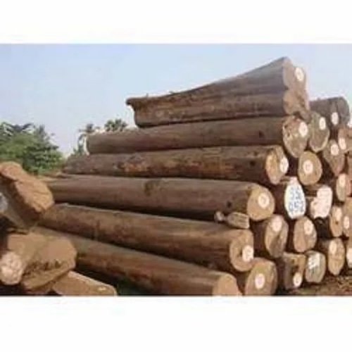 Best Grade Natural Eucalyptus Wood Logs eucalyptus wood logs For Sale