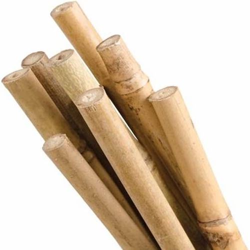 High Quality Bamboo Poles for Garden Home Decoration Ready To Export