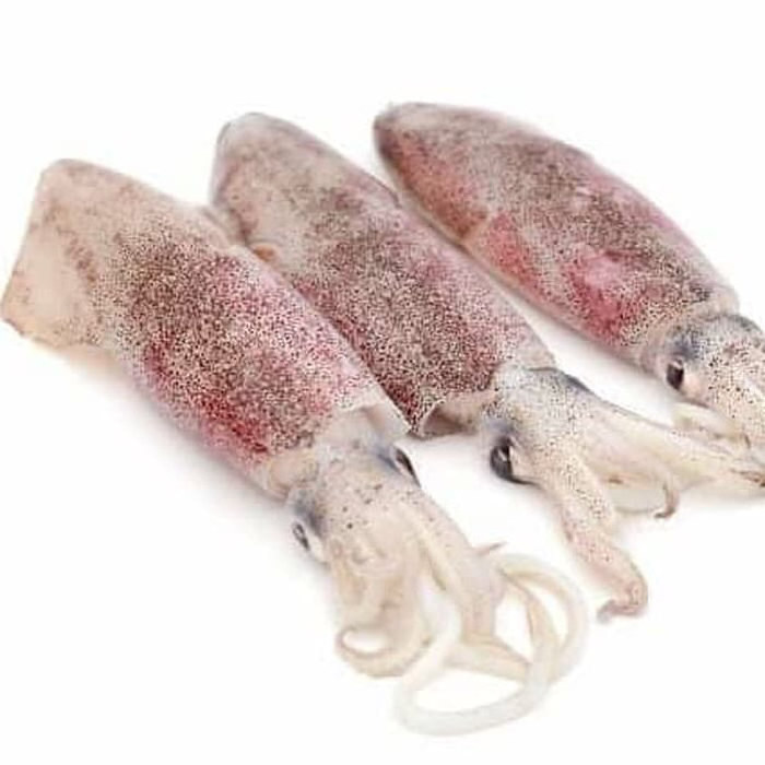 Hot Sale Seafood Frozen Squid / Frozen Illex Squid Whole Round for Sale