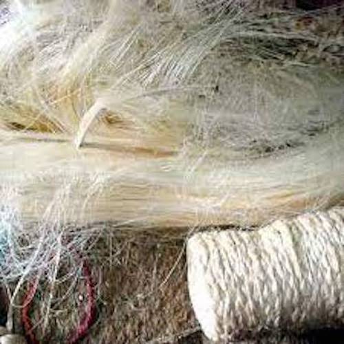 Natural Sisal Fiber for Gypsum UG Grade Sisal Fibre for sale