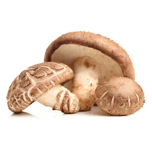 Best Selling Wholesale Edible Dried Donko Shiitake Mushroom