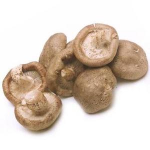 Best Selling Wholesale Edible Dried Donko Shiitake Mushroom