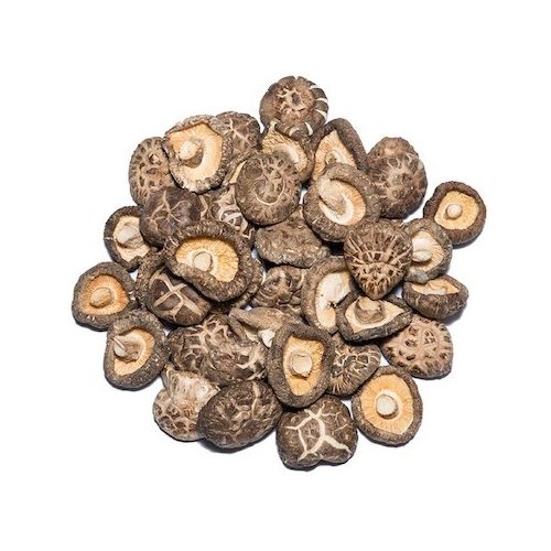 Cultivated Edible Fungus Shiitake Mushroom Spawn