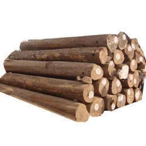 Best Grade Natural Eucalyptus Wood Logs eucalyptus wood logs For Sale