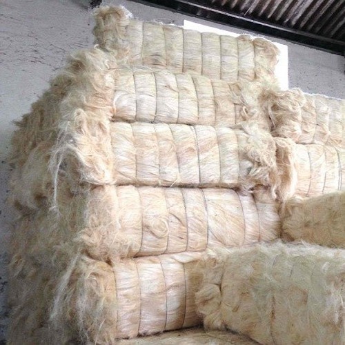 Natural Sisal Fiber for Gypsum UG Grade Sisal Fibre for sale