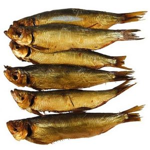 Highly Nutritious fat delicious herring fish smoked herring fish for sale