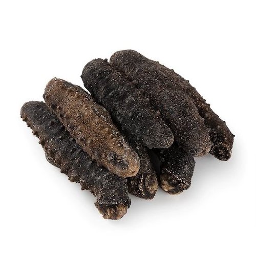 Best Price Dried Sea Cucumber from Vietnam