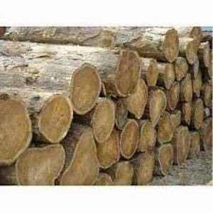 Best Grade Pine Wood Logs And Timber wood Logs For sale