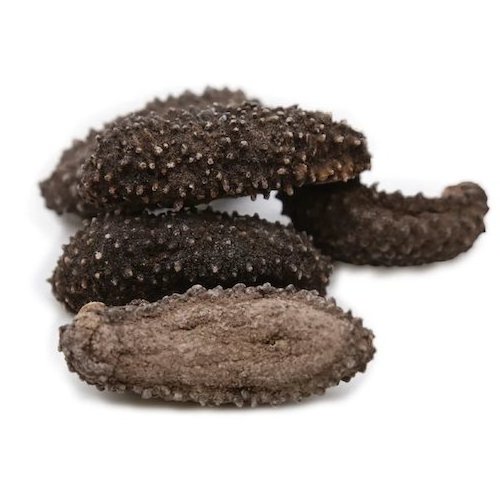 Best Price Dried Sea Cucumber from Vietnam