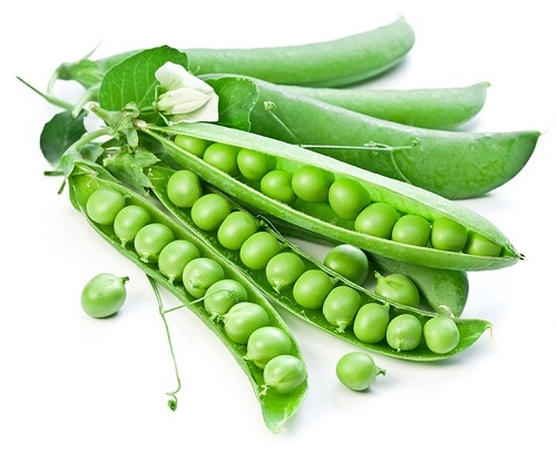 Best Fresh Green Peas For Sales